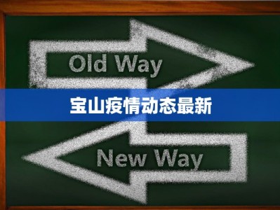 宝山疫情动态最新