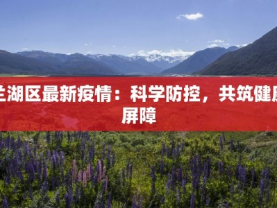 兰湖区最新疫情：科学防控，共筑健康屏障