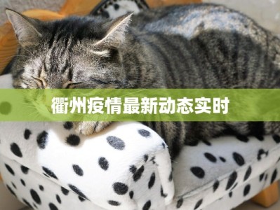 衢州疫情最新动态实时