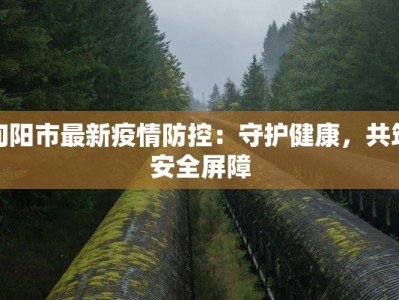 疫情快递最新报告