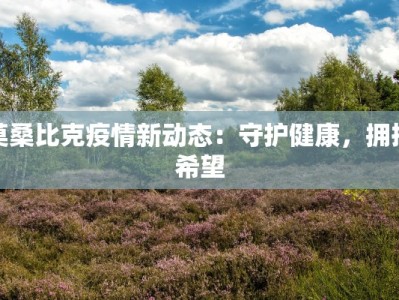 莫桑比克疫情新动态：守护健康，拥抱希望