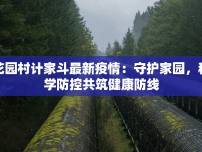 花园村计家斗最新疫情：守护家园，科学防控共筑健康防线