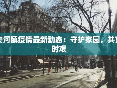 夹河镇疫情最新动态：守护家园，共克时艰