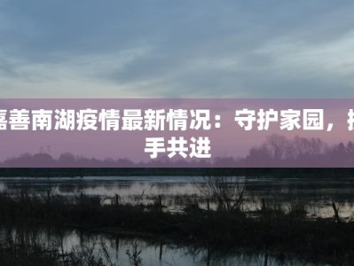 嘉善南湖疫情最新情况：守护家园，携手共进