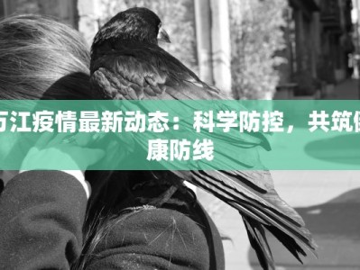 万江疫情最新动态：科学防控，共筑健康防线