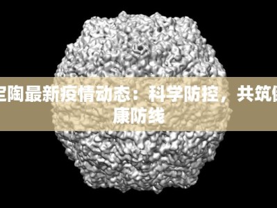 定陶最新疫情动态：科学防控，共筑健康防线