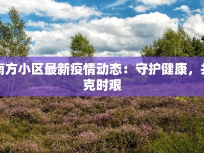南方小区最新疫情动态：守护健康，共克时艰