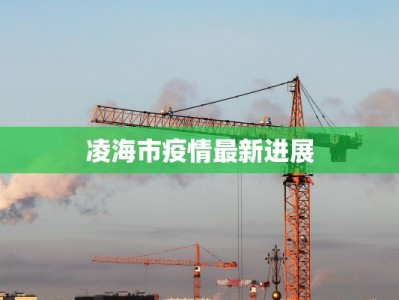 坪口镇最新疫情情况