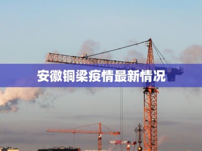 安徽铜梁疫情最新情况