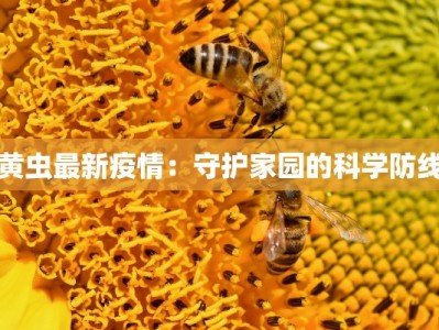 黄虫最新疫情：守护家园的科学防线