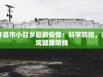 许昌市小召乡最新疫情：科学防控，共筑健康防线