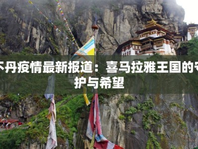 支援湖北最新疫情：温暖力量点亮希望之光