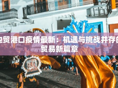 边贸港口疫情最新：机遇与挑战并存的贸易新篇章