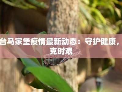 丰台马家堡疫情最新动态：守护健康，共克时艰