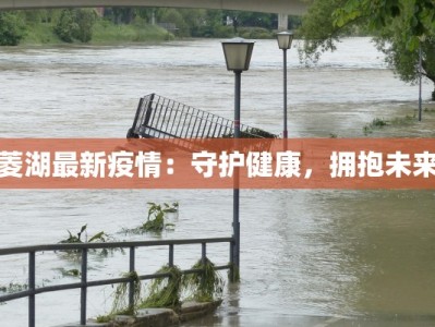 菱湖最新疫情：守护健康，拥抱未来