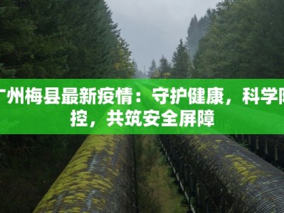 广州梅县最新疫情：守护健康，科学防控，共筑安全屏障