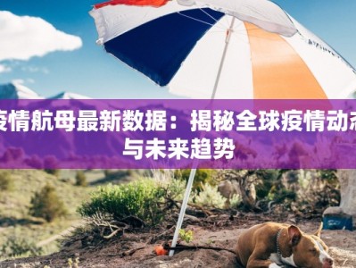 最新的哈市疫情通报