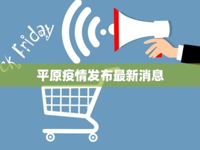 平原疫情发布最新消息