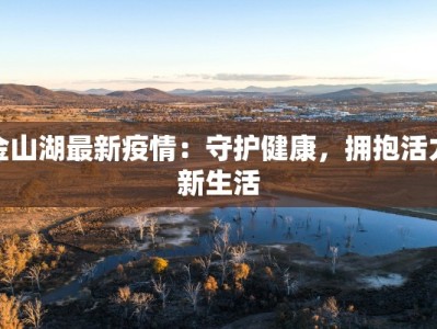 金山湖最新疫情：守护健康，拥抱活力新生活