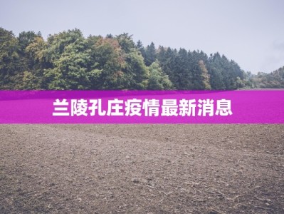 兰陵孔庄疫情最新消息