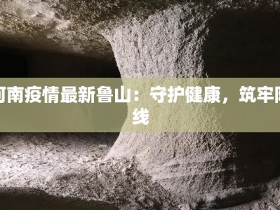 河南疫情最新鲁山：守护健康，筑牢防线