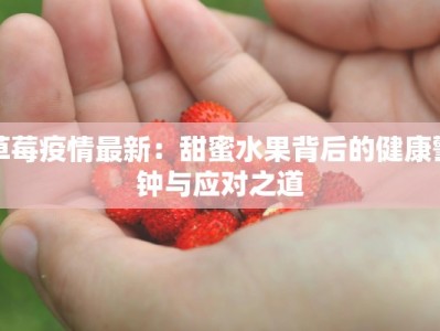 草莓疫情最新：甜蜜水果背后的健康警钟与应对之道