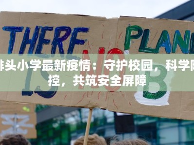 排头小学最新疫情：守护校园，科学防控，共筑安全屏障
