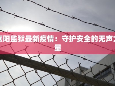 襄阳监狱最新疫情：守护安全的无声力量