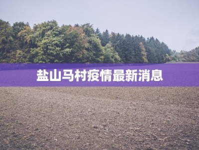 盐山马村疫情最新消息