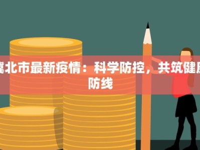 冀北市最新疫情：科学防控，共筑健康防线