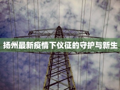 扬州最新疫情下仪征的守护与新生