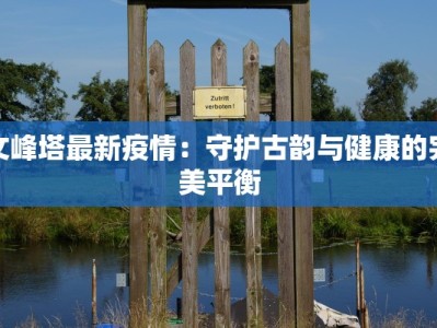 济宁疫情最新进展：梁山地区守护健康新篇章