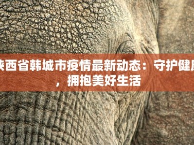 陕西省韩城市疫情最新动态：守护健康，拥抱美好生活