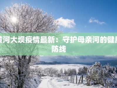 黄河大坝疫情最新：守护母亲河的健康防线