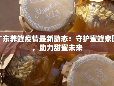 广东养蜂疫情最新动态：守护蜜蜂家园，助力甜蜜未来
