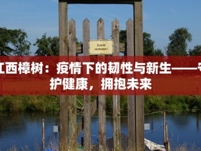 江西樟树：疫情下的韧性与新生——守护健康，拥抱未来