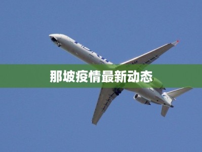 那坡疫情最新动态