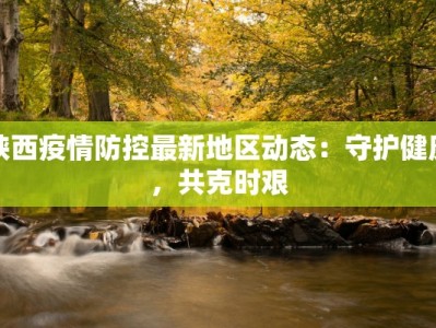 陕西疫情防控最新地区动态：守护健康，共克时艰